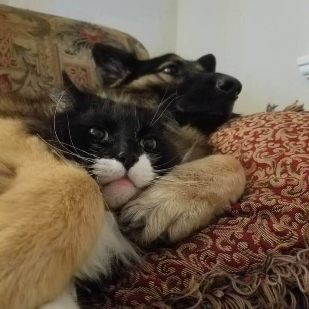 Meet your Posher, Karen